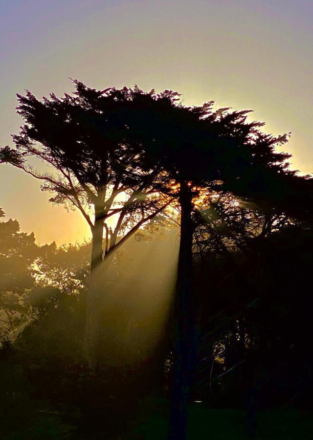 Appartement Sf King Nest By The Golden Gate Park And Beach With Private Patio à San Francisco Extérieur photo